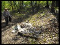 DSCF6942
